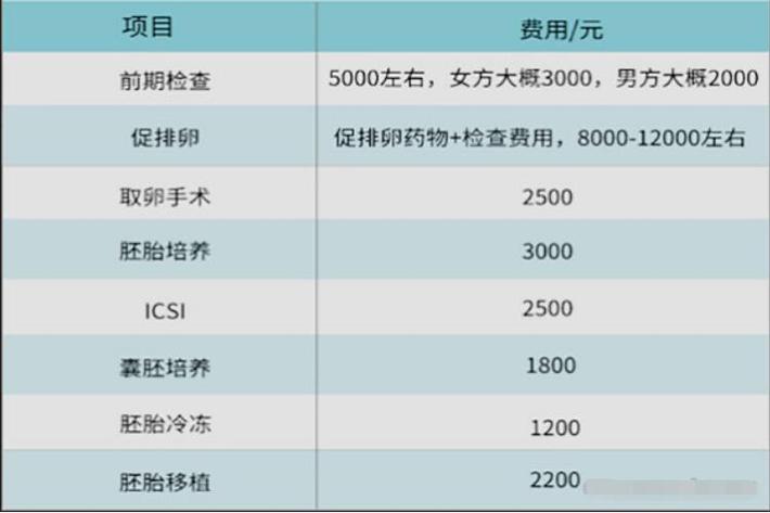 代孕生双胞胎多少费用