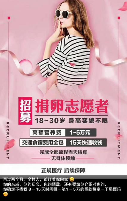 有关代孕的公司